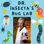 Dr. Insecta’s 